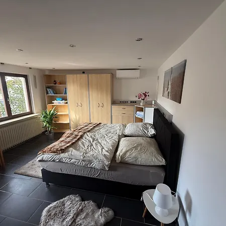 아파트 M-suites Petit - Near Frankfurt Airport 하터쉐임