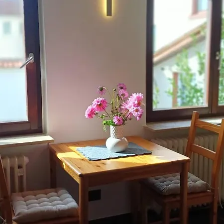 Διαμέρισμα M-suites Petit - Near Frankfurt Airport *