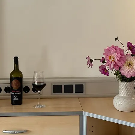 M-suites Petit - Near Frankfurt Airport * Hattersheim am Main