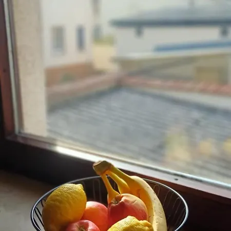 아파트 M-suites Petit - Near Frankfurt Airport *