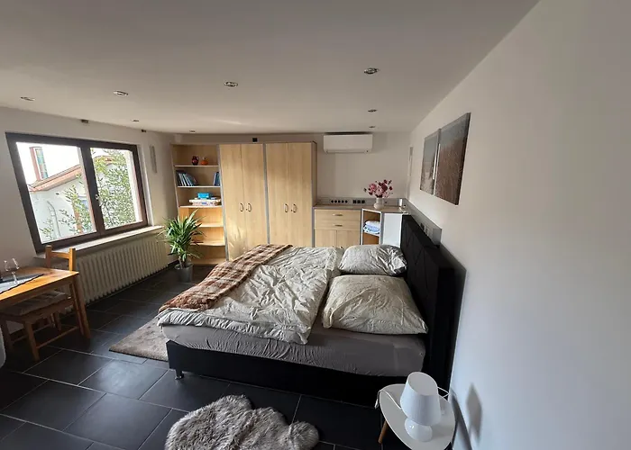 公寓 M-suites Petit - Near Frankfurt Airport 哈特斯海姆