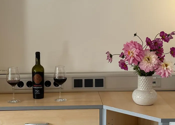 M-suites Petit - Near Frankfurt Airport * 哈特斯海姆